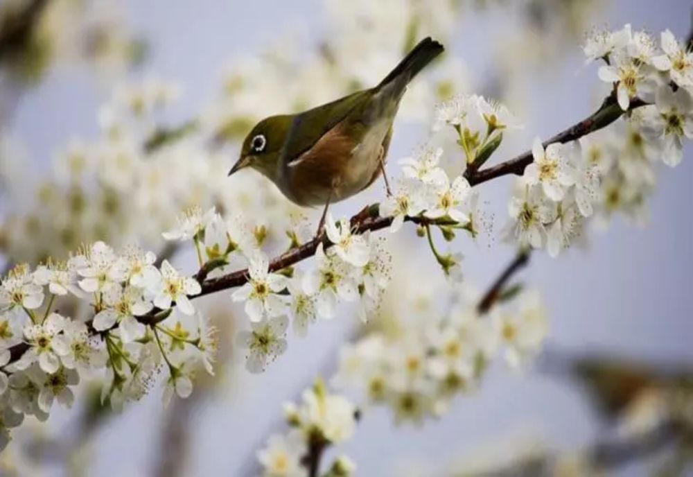 Meteo: Cum va fi vremea de Paște?