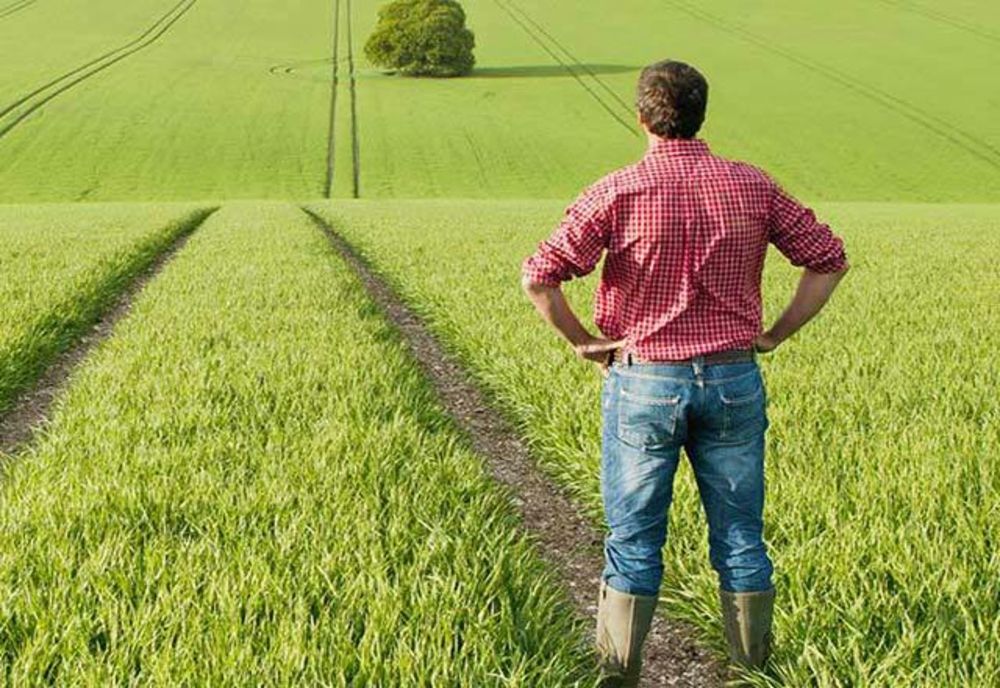 Digitalizare în agricultură. Fermierii pot depune online și/sau telefon solicitările pentru certificate fitosanitare