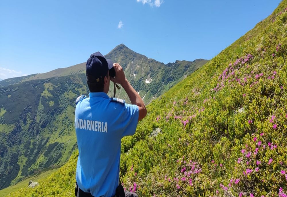 Weekend cu evenimente în Argeș