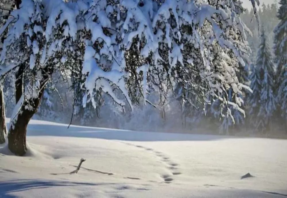 Ninge la munte, plouă în mai multe zone, iar un port a fost închis