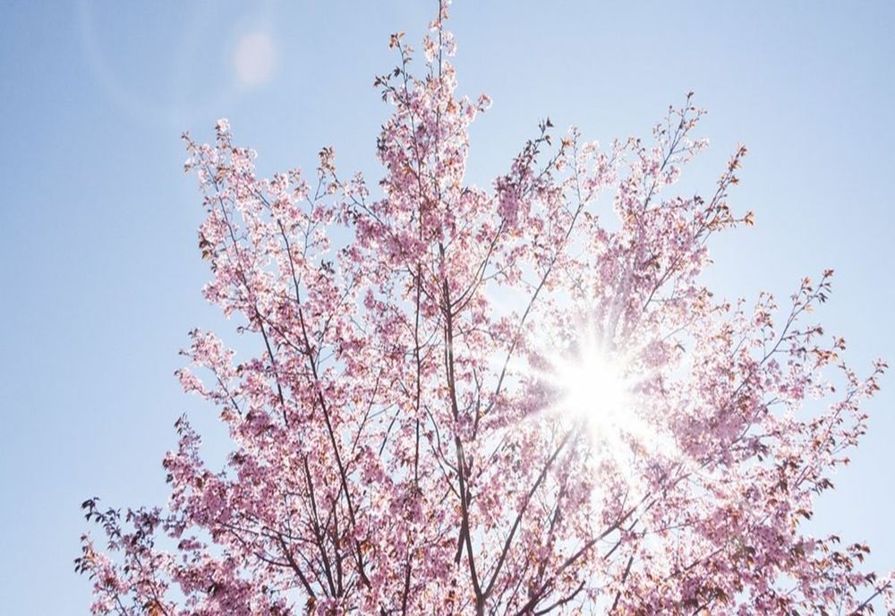 Cum este vremea astăzi în țară