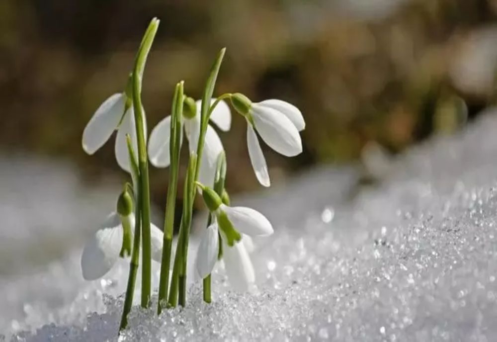 Astăzi vremea va fi în general frumoasã