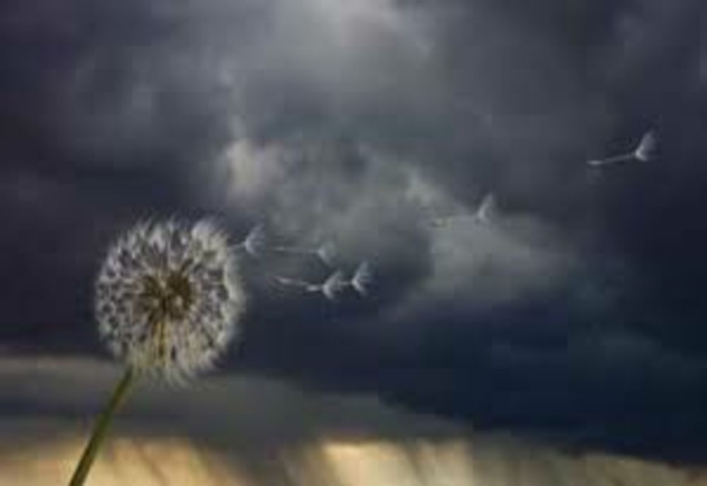 Avertizare ANM: Cod galben de fenomene periculoase - Rafale de până la 70 km/h