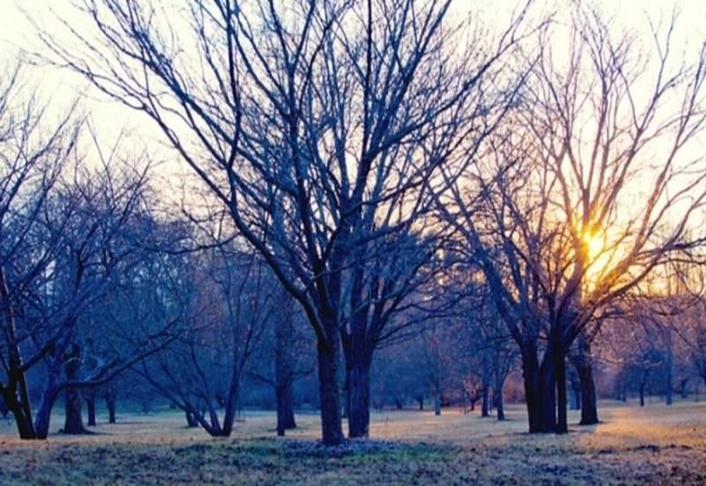 Vremea 20 noiembrie - Temperaturi în creștere după episodul de iarnă severă