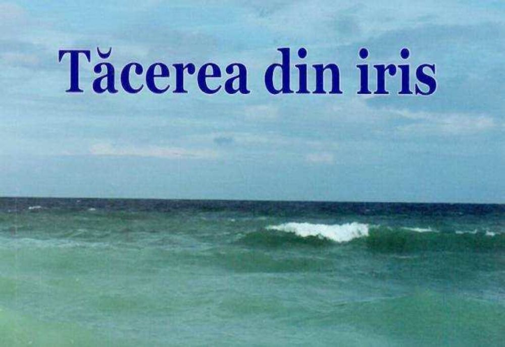 POETA IUDITA DODU IEREMIA: ARTISTUL CARE SCRIE CU MARMURĂ