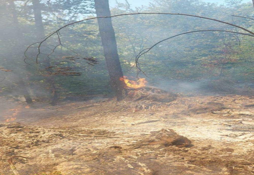 Intervenții ample ale pompierilor argeșeni pentru stingerea incendiilor de vegetație