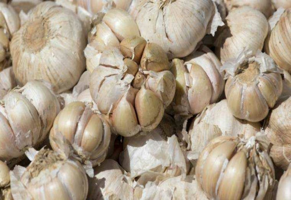 FERMIERII ROMÂNI PRIMESC PLĂȚI PENTRU PROGRAMUL USTUROIUL