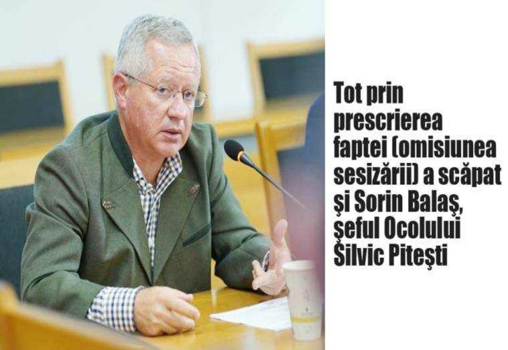 SCANDALOSUL PROCES AL JAFULUI SILVIC DIN ARGEȘ: ÎNCĂ O AMÂNARE ȘI FANTOMA PRESCRIERII