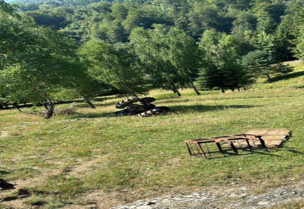 TRAGEDIE ÎN ARGEȘ: ACCIDENT CU TRACTORUL ÎN DAMBOVICIOARA