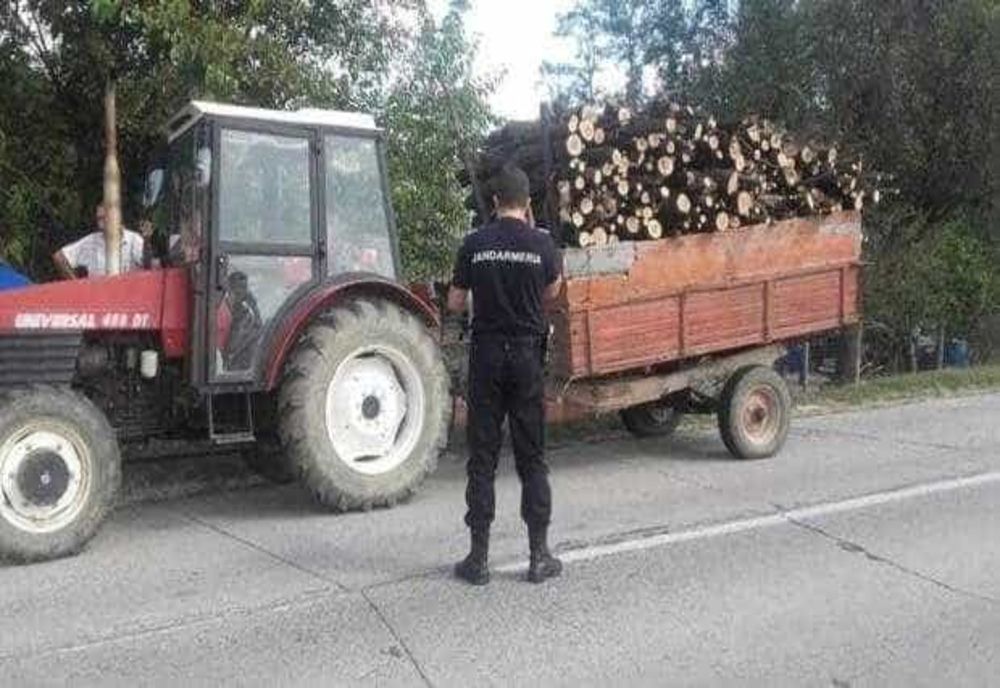 ACTIVITATE INTENSĂ A POLIȚIȘTILOR DIN ARGEȘ ÎN DOMENIUL SILVIC: 575 DE CONTROALE ȘI CONFISCĂRI ÎN PRIMELE 6 LUNI ALE ANULUI
