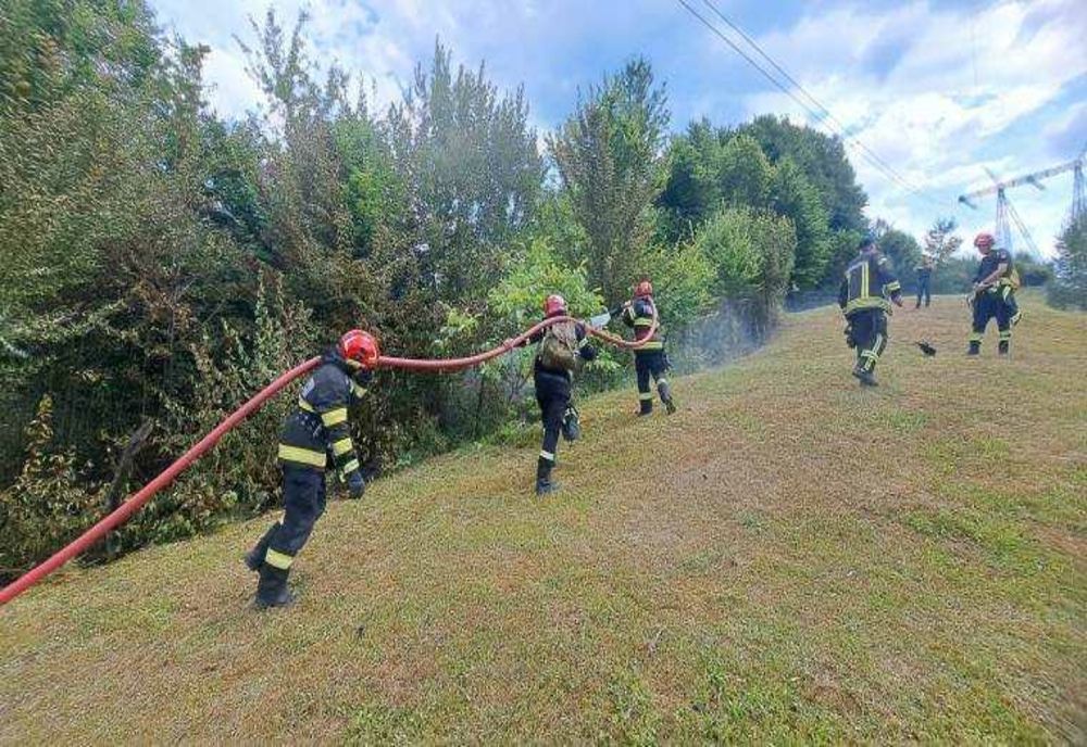 INCENDIILE DE VEGETAȚIE ÎN JUDEȚUL ARGEȘ