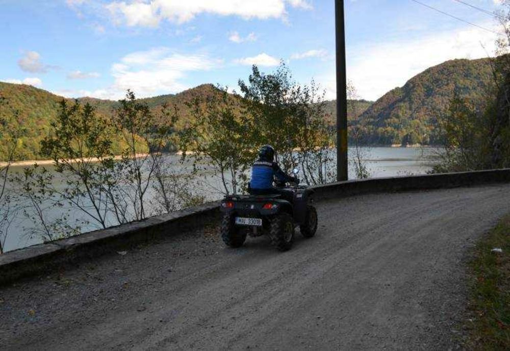 JEANETTE, DĂDĂRĂGĂU ȘI-A PIERDUT CALUL ÎN PĂDURE. IJJ ARGEȘ: „NU VĂ APROPIAȚI DE ANIMALELE SĂLBATICE”