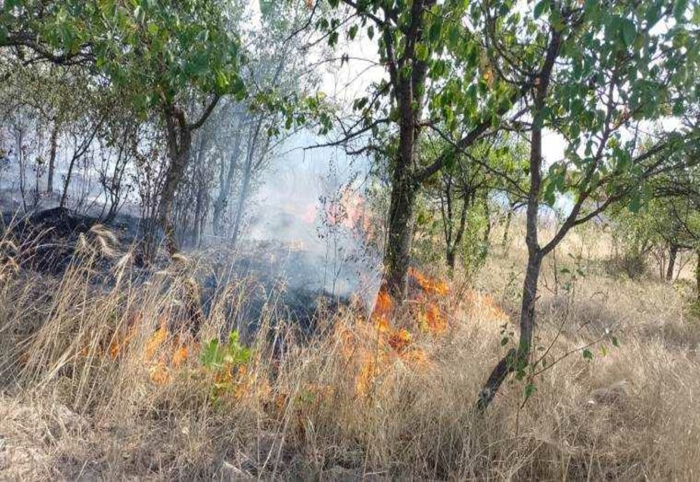 INCENDII DE VEGETAȚIE ÎN ARGEȘ