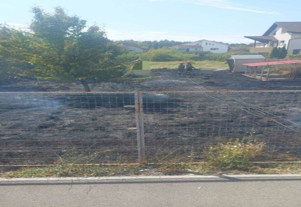 INCENDIU DE VEGETAȚIE ÎN PITEȘTI: INTERVENȚIE A POMPIERILOR PE CALEA DRĂGĂȘANI