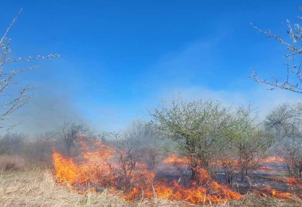 INCENDIU ÎN POPEȘTI: POMPIERII INTERVIN PENTRU STINGERE ȘI SALVARE