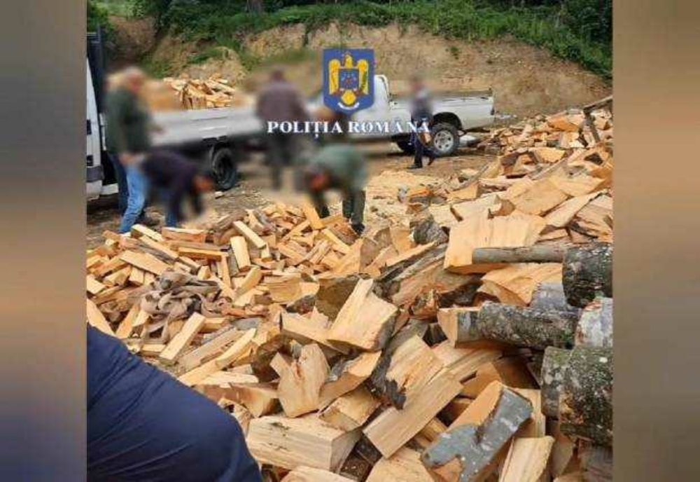 DELICT SILVIC ÎN ARGEȘ: O SOCITATE COMERCIALĂ SANCȚIONATĂ PENTRU LIVRĂRI NEAUTORIZATE DE MATERIAL LEMNOS