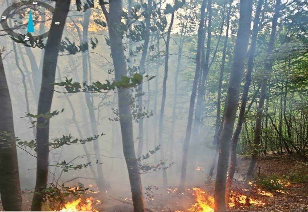 POMPIERII INTERVIN PENTRU STINGERE LA UN INCENDIU ÎNTR-O PĂDURE DIN CICĂNEȘTI