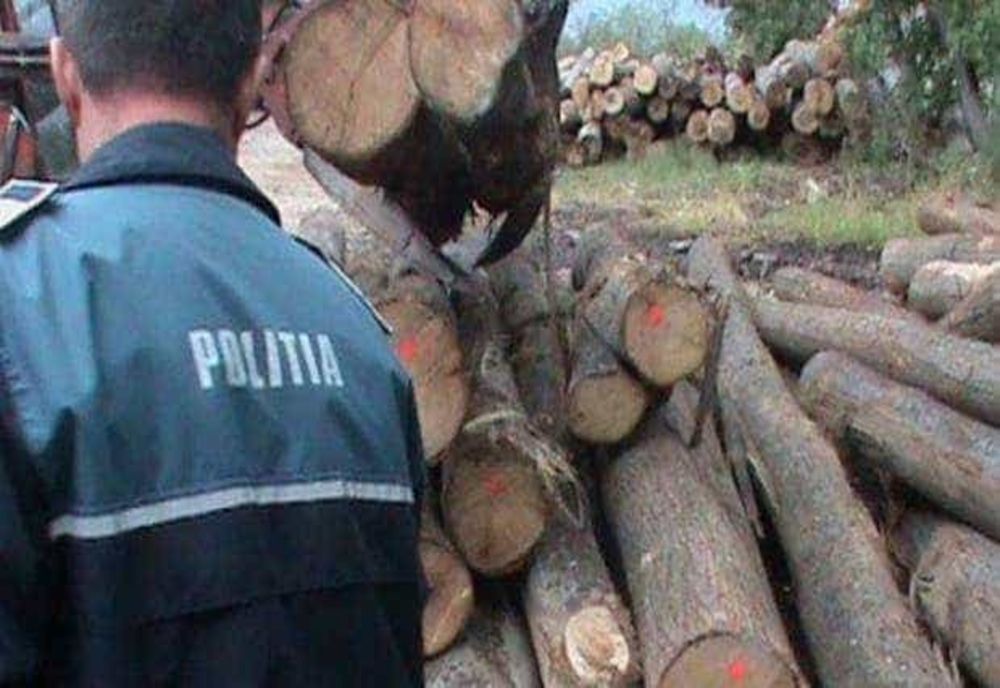 ACȚIUNE DE CONTROL LA O SOCIETATE COMERCIALĂ DIN DRAGOSLAVELE