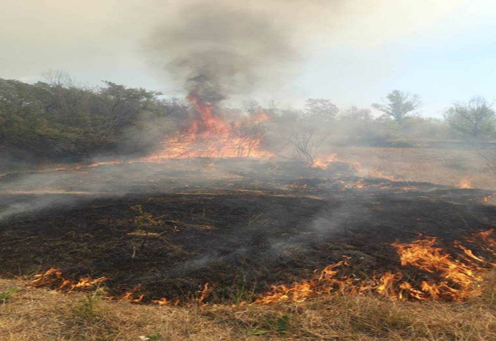 INCENDII DEVASTATOARE ÎN VEGETAȚIA USCATĂ DIN ROMÂNIA