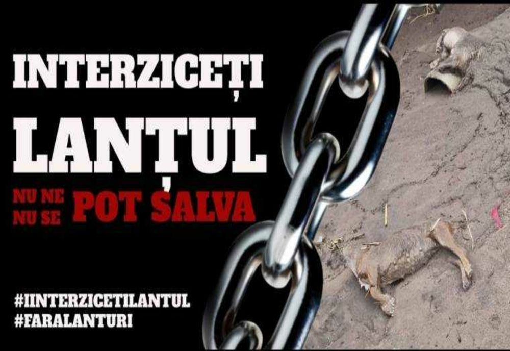 INTERZICEREA LANȚULUI: UN APEL NAȚIONAL DE URGENȚĂ PENTRU SALVAREA ANIMALELOR