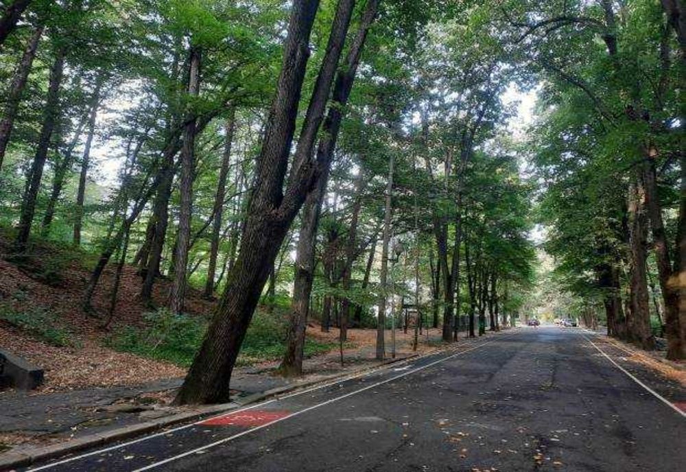 HOTĂRÂRE DEFINITIVĂ ÎN PROCESUL DINTRE INSTITUȚIA PREFECTULUI ARGEȘ ȘI CONSILIUL LOCAL PITEȘTI