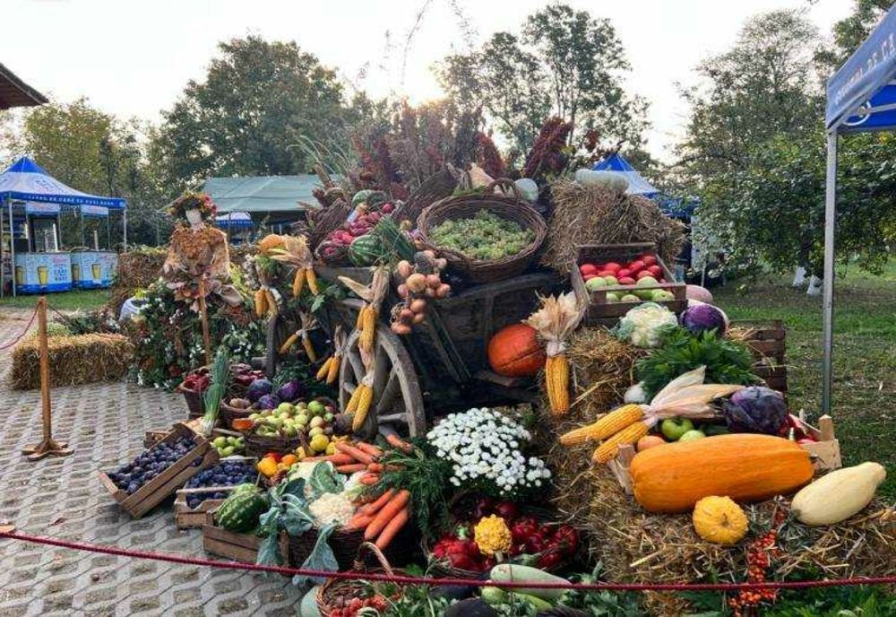 Rod Cu Spor: Târg de Meșteșuguri și Produse Tradiționale la Muzeul Golești