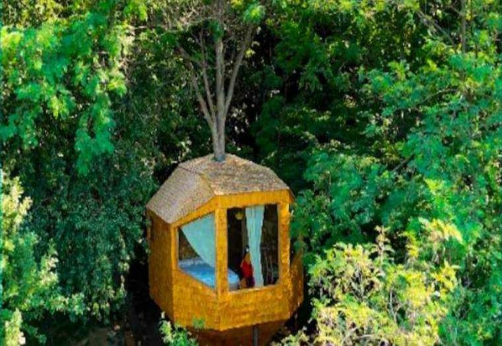 DOUĂ FAMILII DIN BUCUREȘTI AU CONSTRUIT UN „CUIB DE LA SAT” CARE A DEVENIT VIRAL PE INTERNET