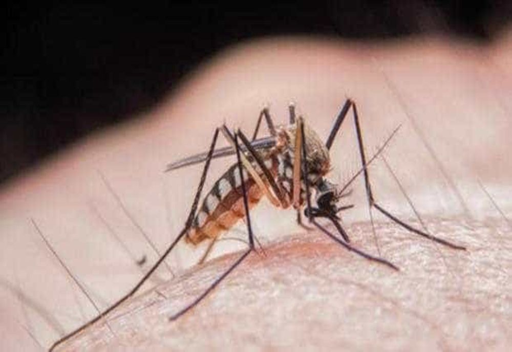 VIRUSUL WEST NILE FACE O NOUĂ VICTIMĂ ÎN SUCEAVA
