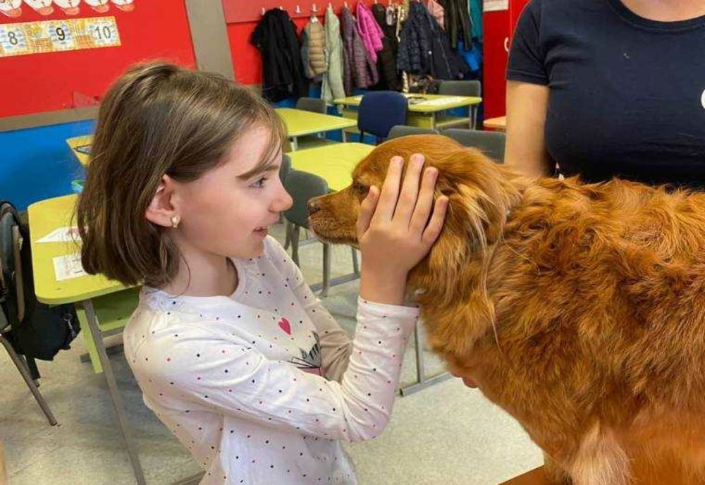 Ora Cu Și Pentru Animale