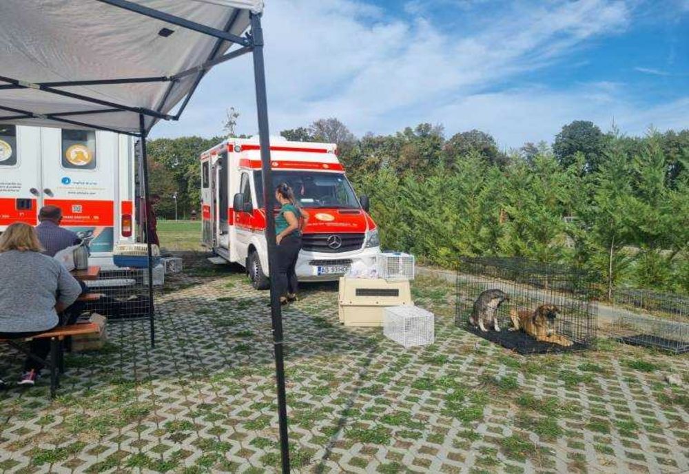 NOUĂ CAMPANIE DE STERILIZARE GRATUITĂ ÎN ZONA DE PICNIC FĂGET