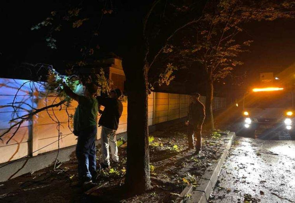 FURTUNA CARE A LOVIT PIȚEȘTIUL