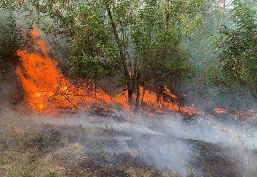 INCENDII DE VEGETAȚIE USCATĂ ÎN JUDEȚUL ARGEȘ: INTERVENȚIA POMPIERILOR