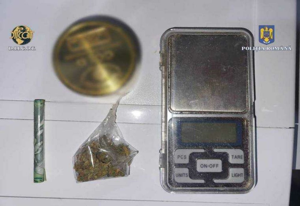 ACȚIUNE ANTI-DROG ÎN ARGEȘ: PERCHEZIȚII ȘI ARESTĂRI ÎN CAZURI DE TRAFIC DE SUBSTANȚE INTERZISE