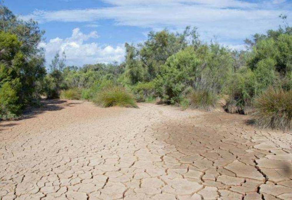 CRIZĂ ECOLOGICĂ ÎN ROMÂNIA: RÂURI ȘI LACURI SECATU-SEZ