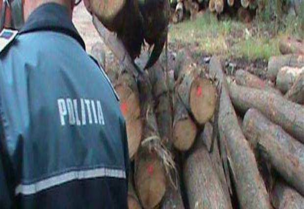 ABATERI PRIVIND TRANSPORTUL DE MATERIAL LEMNOS: SANȚIUNI ȘI CONFISCĂRI