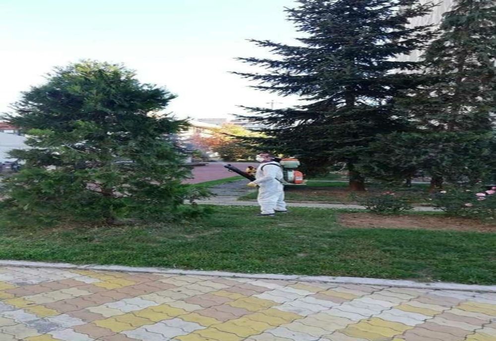 TRATAMENT FITOSANITAR ÎN PITESTI, CONFORM BULETINULUI DE AVERTIZARE NR. 730/17.09.2024