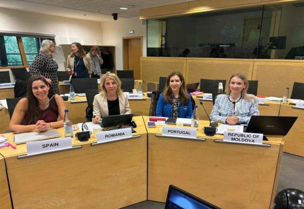 COMITETUL DE EXPERTI PENTRU COMBATEREA VIOLENȚEI ONLINE ÎMPOTRIVA FEMEILOR ȘI FETELOR