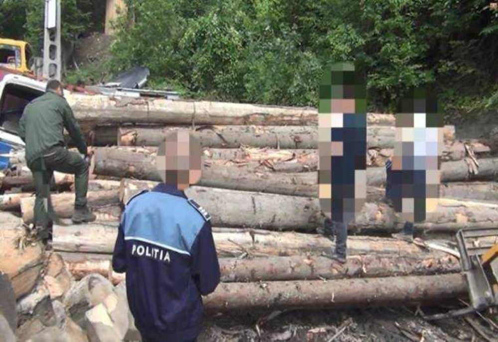 ACȚIUNE DE AMPLOARE A POLIȚIȘTILOR DIN TIGVENI: DEPISTARE ȘI SANCTIONARE PENTRU TRANSPORT ILEGAL DE MATERIAL LEMNOS