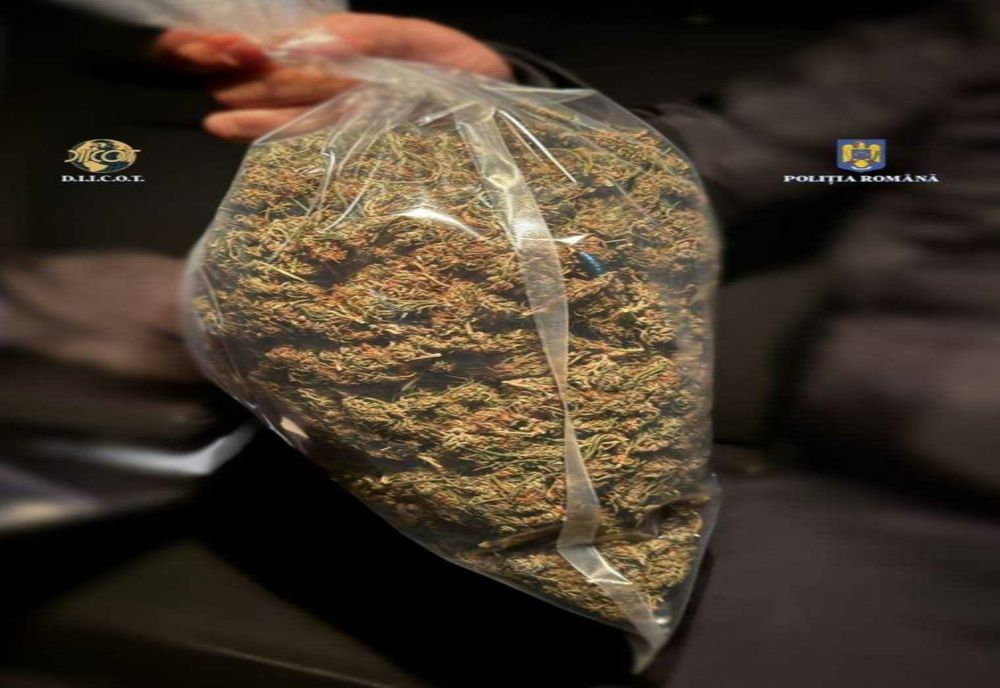 POLIȚIȘTII DIN PITEȘTI DEZVĂLUIE ACTIVITATEA INFRACȚIONALĂ A UNUI BĂRBAT CERCETAT PENTRU TRAFIC DE DROGURI DE RISC