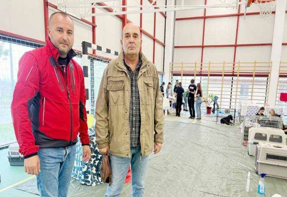 NOUĂ CAMPANIE DE STERILIZARE GRATUITĂ ÎN COMUNA BUDEASA