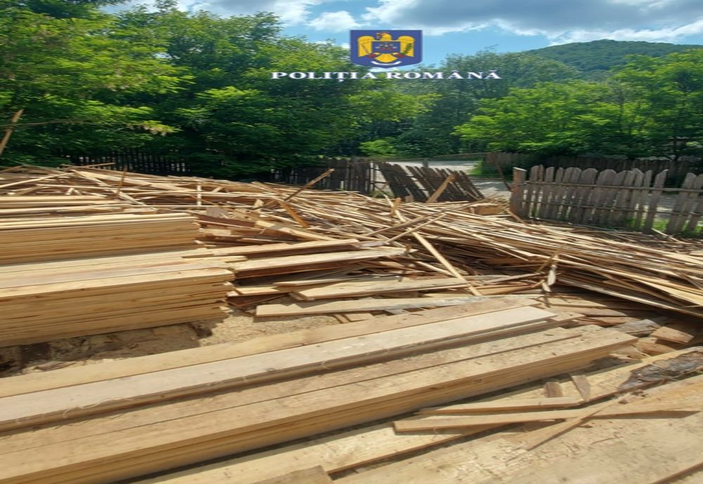 PROIECTUL NOULUI COD SILVIC, ÎN DEZBATEREA DEPUTAŢILOR