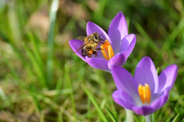 Cum va fi vremea azi în România: soare în mare parte din țară, dar apar și ploi slabe