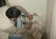Fals instalator, fură din locuinţele piteştenilor! Nu primiţi în casă pe oricine