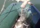 Video! Pești și păsări moarte în plasele braconierilor pe un lac de acumulare din Argeș