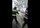 Video-Cad copacii! O altă problemă adusă de ninsorile abundente, în Argeş