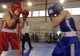 Cupa României la Box pentru Juniori se desfășoară la Pitești