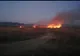 Video-Incendiu la Ștefănești! Focare la vegetație pe două hectare