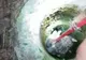 VIDEO! Pompierii argeșeni au salvat o pisică dintr-o fântână