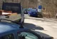 Municipalitatea vrea să facă linie de autobuz către Zoo, la Pitești