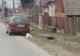 Federația pentru Protecția Animalelor: „Este neverosimilă povestea”